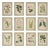 Schumacher x Johnson Hartig Garden's Trust Wallcovering in English Green For Sale