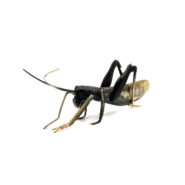 Mid-Century Hand-Crafted Horn Grasshopper, France 1960s For Sale - Image 6 of 12