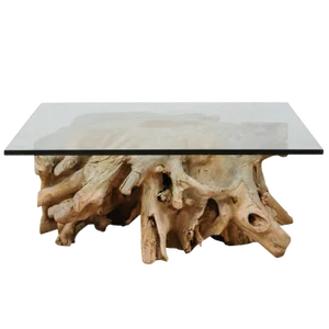 European Tree Root From 19th Century Fashioned Into Coffee Table
