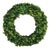 Boxwood Wreath 12" For Sale
