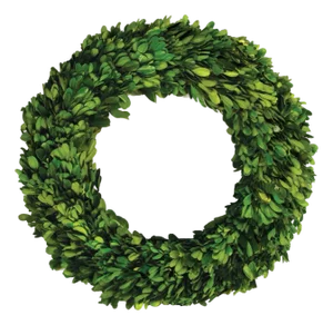 Boxwood Wreath 12"