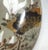 Japanese 19th Century Japanese Kutani Haisen Bowl or Sake Cup For Sale - Image 3 of 9