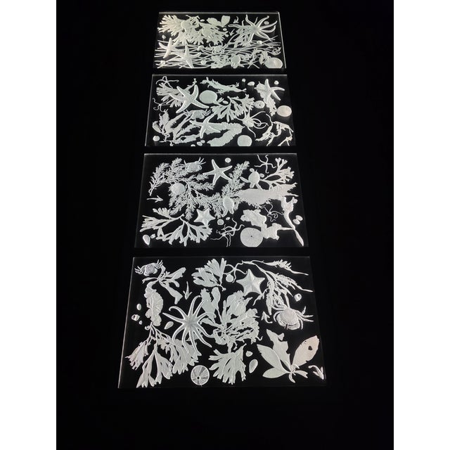 Transparent Hand Engraved Sea Life Glass and Metal Coffee Table For Sale - Image 8 of 15