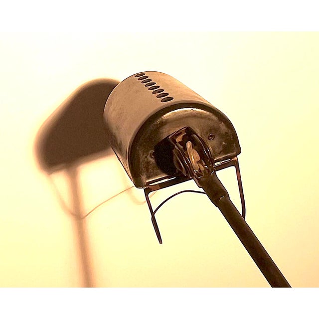 Daphine Terra Lamp by Tommaso Cimini for Lumina, 1970s For Sale - Image 12 of 18