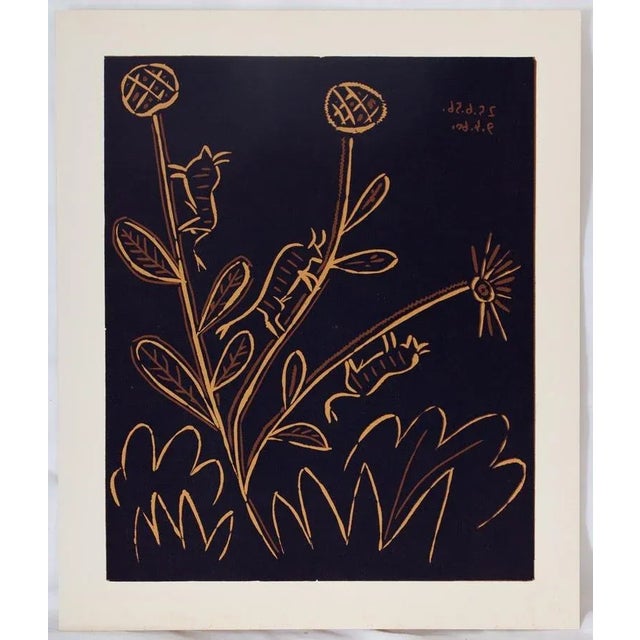 Pablo PICASSO (1881-1973) (after) Plant to the Toritos Linocut on vellum 32 x 26 cm Printed by the Cercle d'Art (1962)...
