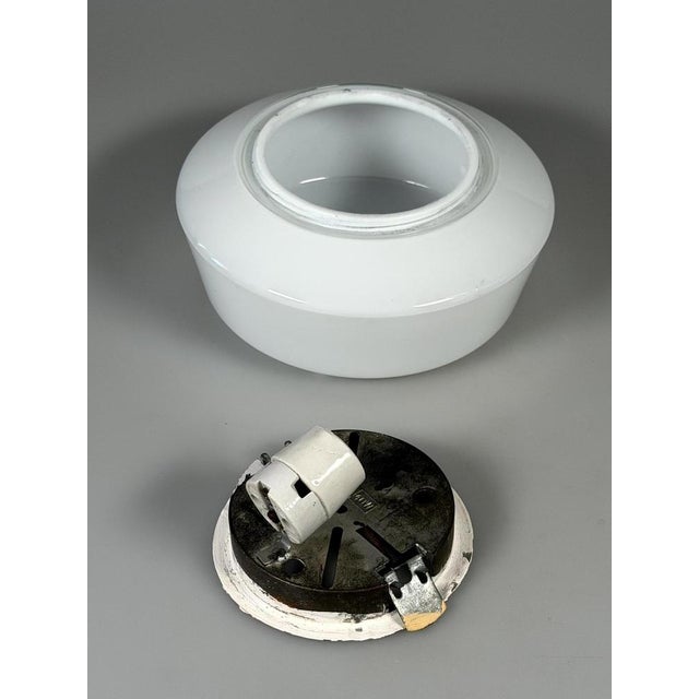 Mid-Century Ceiling Light in Frosted Glass from RZB, 1960s For Sale - Image 10 of 15