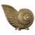 Nautilus Shaped Champagne Bottle Holder in Brass, Italy, 1950s For Sale