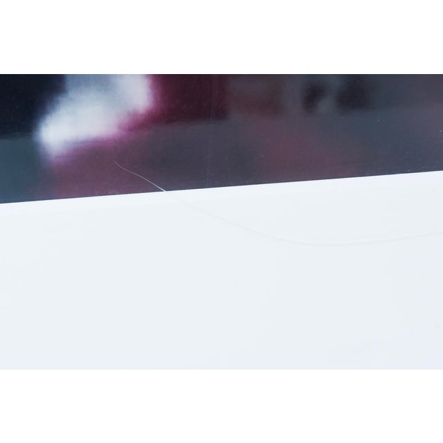 Dara Friedman Photograph From Romance Series Titled Redbird Custom Framed 2002 For Sale In Miami - Image 6 of 10