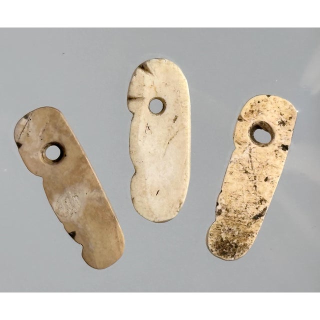 Authentic Pre-Columbian Taino Shell Amulets for your consideration. Each amulet measures approx. 1 inch long, 3/8 of an...