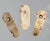 Authentic Pre-Columbian Taino Shell Amulets for your consideration. Each amulet measures approx. 1 inch long, 3/8 of an...