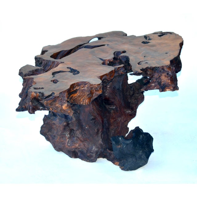 1960s 1960s Redwood Burl Coffee Table For Sale - Image 5 of 7