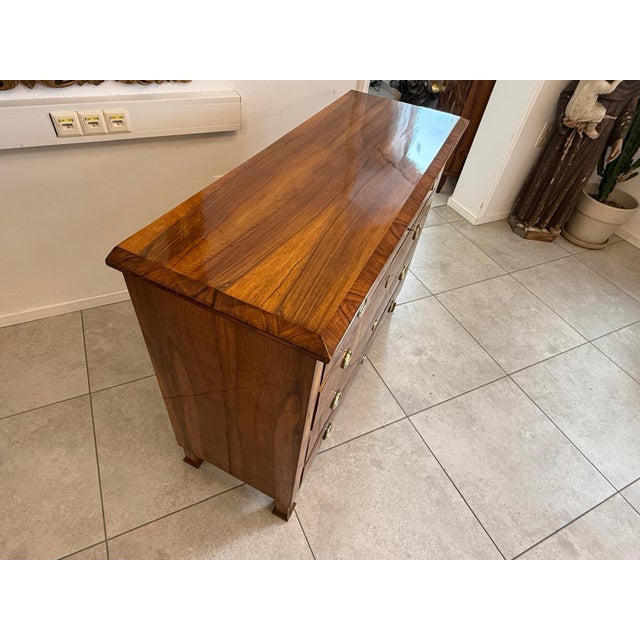 Biedermeier Chest of Drawers in Walnut For Sale - Image 10 of 17