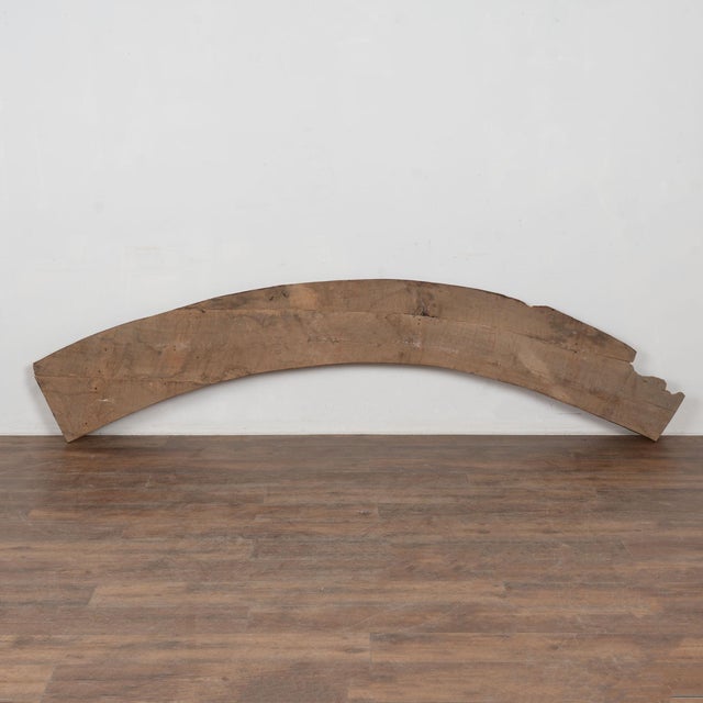 Late 18th Century Large Original Painted Architectural Fragment From Portugal For Sale - Image 12 of 12
