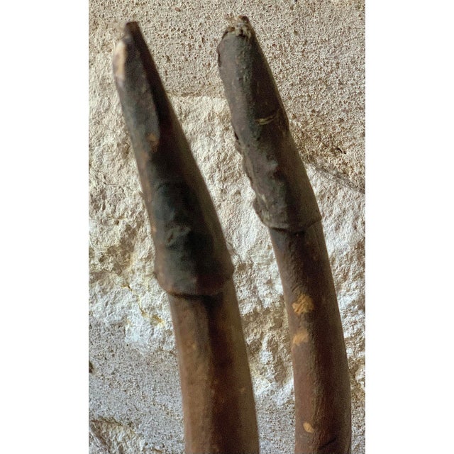 African ‘Ci Wara’ Male Antelope Wood Carved Ceremonial, Tribal Art Headdress of the Bamana Peoples of Mali For Sale - Image 11 of 12