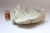 Vintage Plaster and Resin Giant Tridacna Clam Shell Centerpiece/Vide Poche For Sale In New York - Image 6 of 12