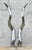 Early 21st Century Vintage Boho Polished Chrome Antlers - A Pair For Sale - Image 5 of 6