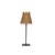 Contemporary Garden Cordless Lamp Shade For Sale - Image 3 of 4