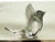 1960s 1960s Kosta Boda Crystal Bird For Sale - Image 5 of 10