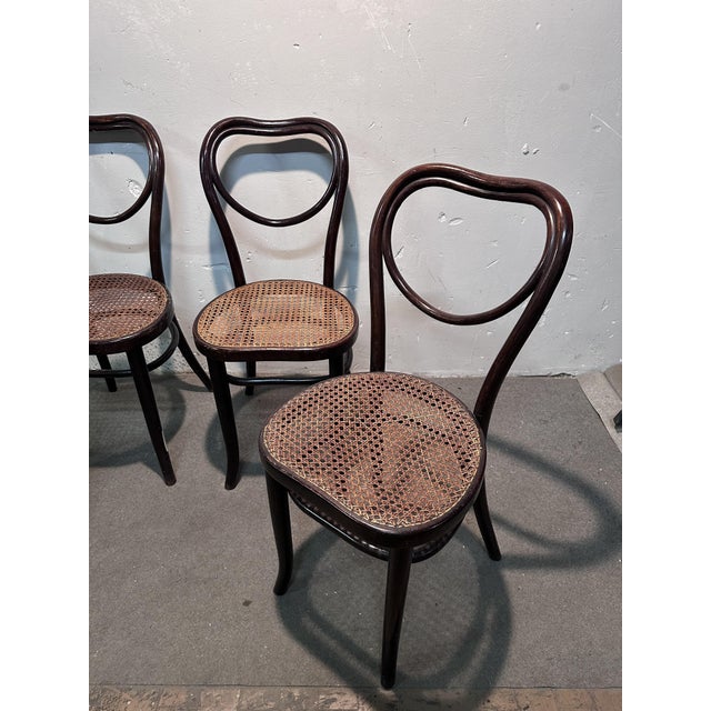 Mondus Chairs from Thonet, Set of 4 For Sale - Image 5 of 7
