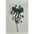 2020s Set of 6 - One-of-a-Kind Dark Green Botanical Organic Modern Original Oil Paintings / Herbarium / Floral / Earth Tones For Sale - Image 5 of 11
