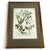 18th Century 1739 Cherry Blossoms & Fruits Mezzotint | Hand-Colored Johann Weinmann Botanical Print For Sale - Image 5 of 9