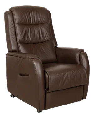 Leather Armchair in Brown from Hukla