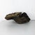 Carved Wooden Lion Paws, Set of 2 For Sale - Image 10 of 13