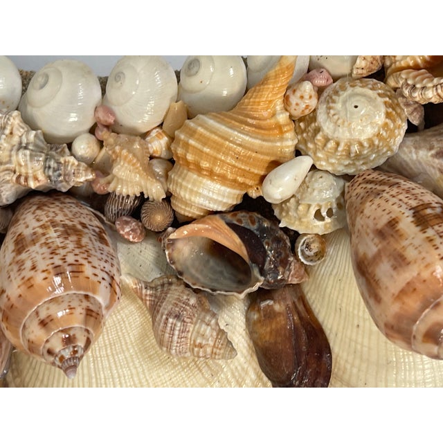 Shell Antique Sea Shell Grotto Encrusted Mirror Frame Distressed For Sale - Image 7 of 7