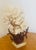 Natures Beauty White Sea coral cluster on faux coral on lucite stand.