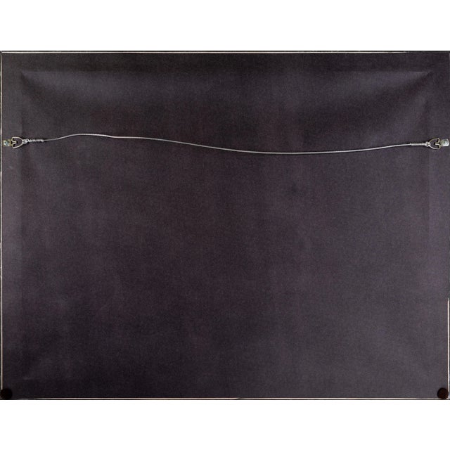 2020s Zeeland Horse by Eerelman Framed in Italian Wood Vener Moulding For Sale - Image 5 of 6