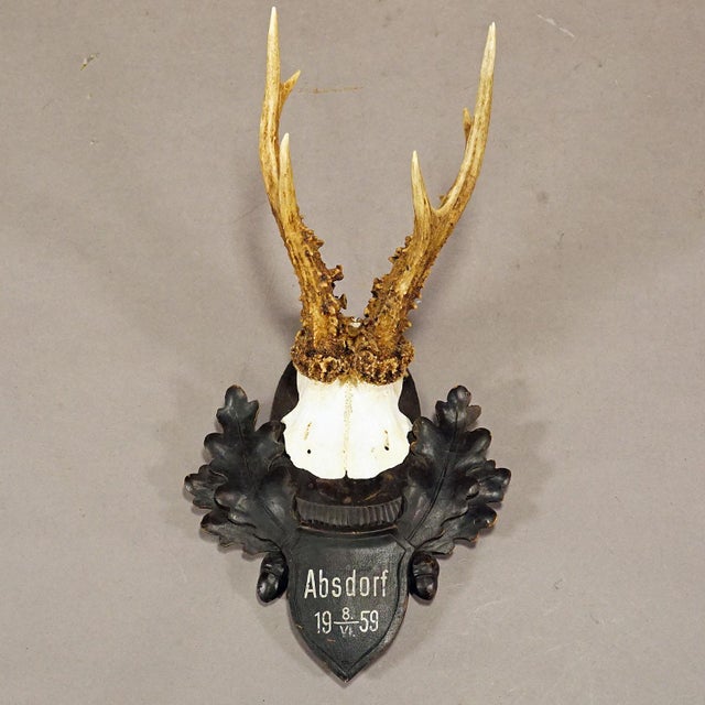 Great Deer Trophy Mount on Wooden Carved Plaque 1959 For Sale - Image 4 of 5