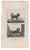 Antique engraving of a King Charle's Spaniel and a Pyramid Dog by Georges-Louis Leclerc, Comte de Buffon (1707-1788) from...