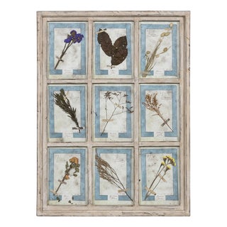 Large Italian Oak Frame Containing Pressed Flowers & Herbs, 1980 For Sale