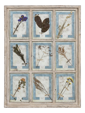 Large Italian Oak Frame Containing Pressed Flowers & Herbs, 1980