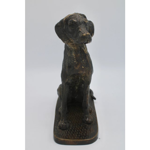 A superb bronze sporting dog. This is an excellent mid-20th century bronze dog on a bronze stand. There is lots of detail...