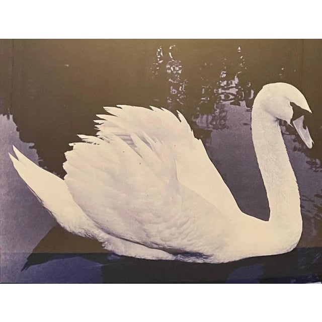 Sorel Cohen Large Scale Color Photograph Ektacolor C Print Art Photo Typography Sorel Cohen 1978 For Sale - Image 11 of 12