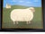 Hilda' A delightful folk art painting by British artist Matt Rix, portraying a cream-coloured sheep with a dark face and...