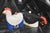 Hen-Shaped Teapots from Cerámicas Benlloch, Manises, Spain. 1990s, Set of 4 For Sale - Image 10 of 10