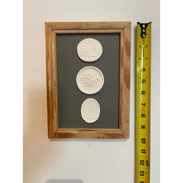 Italian Plaster Intaglios in 1880s Pine Frame For Sale - Image 4 of 7