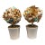 Handmade SeashellCoastal Topiaries in White Ceramic Pots - A Pair For Sale