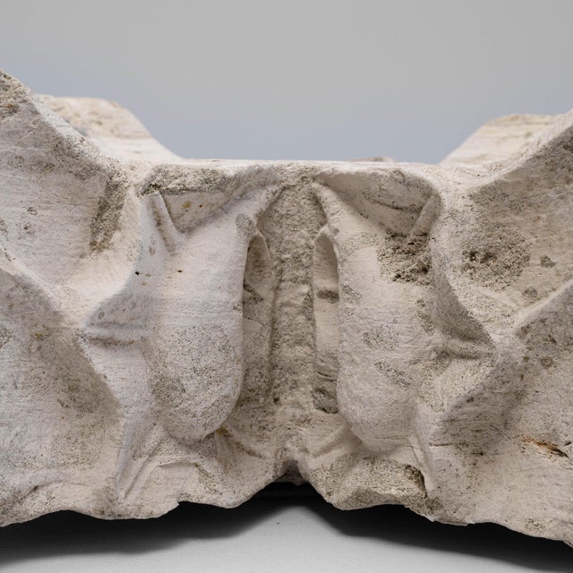 19th Century French Concrete Decoration For Sale - Image 13 of 18