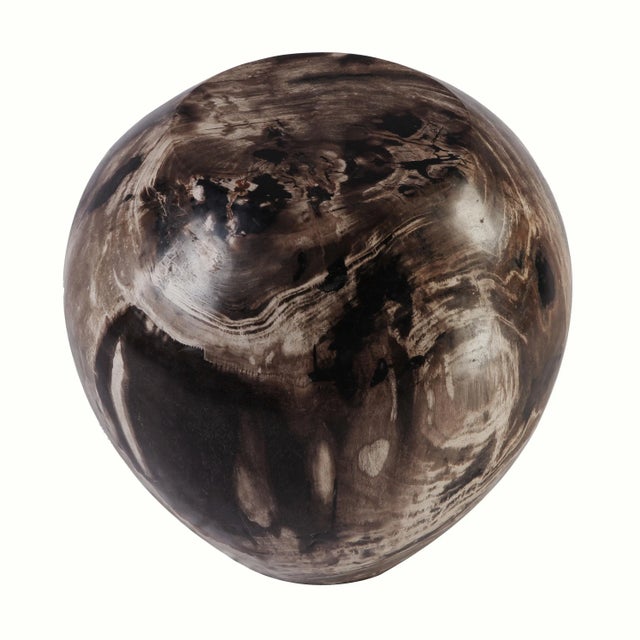 Wood Organic Modern Petrified Wood Stool Accent Table For Sale - Image 7 of 7