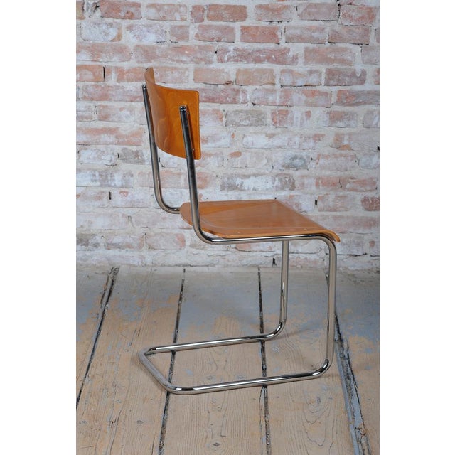 1930s Bauhaus Chair in Beech and Chromed Steel, Czech, 1930s For Sale - Image 5 of 10