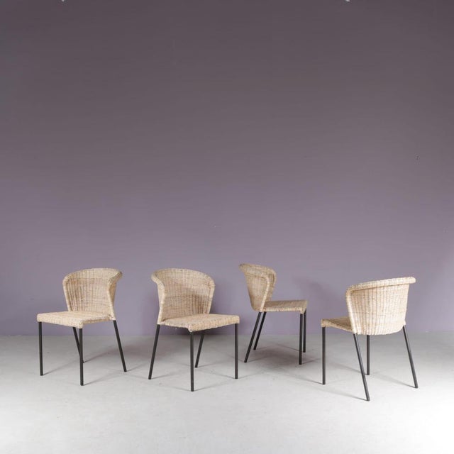 Dining Chairs, Netherlands, 1950s, Set of 4 For Sale - Image 3 of 11