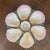 French Antique French Oyster Plate For Sale - Image 3 of 5