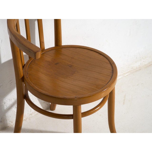 Wood Mundus Bentwood Chairs, 1920, Set of 4 For Sale - Image 7 of 14
