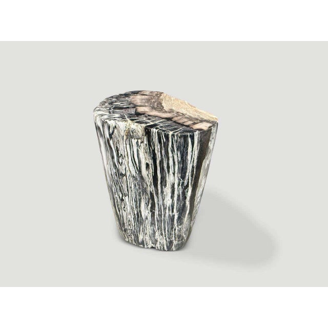Contemporary Andrianna Shamaris Minimalist Modern Organic Petrified Wood Side Table For Sale - Image 3 of 5