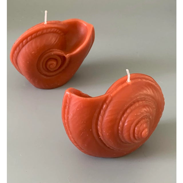 Vintage Tiger Nautilus Shell Shape Candle Point à La Ligne Uncented - a Pair For Sale In Miami - Image 6 of 8