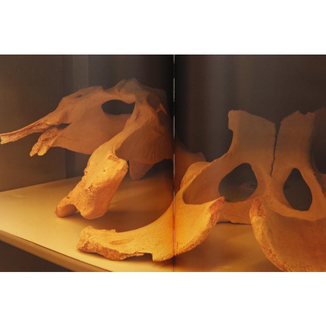 Annie Leibovitz - Pilgrimage. Hardcover book with dustjacket. Stated first edition, published in 2011 by Random House,...