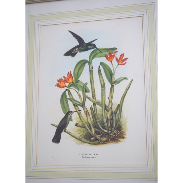 Age: Approx. 30 Years Old Details: By Rafael Montes de Oca Professionally Framed & Matted Approx 30 Years Ago Vibrant...